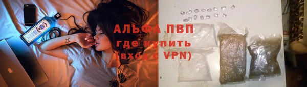 молекула духа Киреевск
