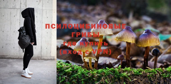 кристаллы Алзамай